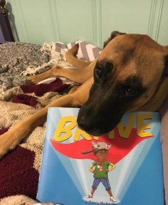 brave book and dog on bed