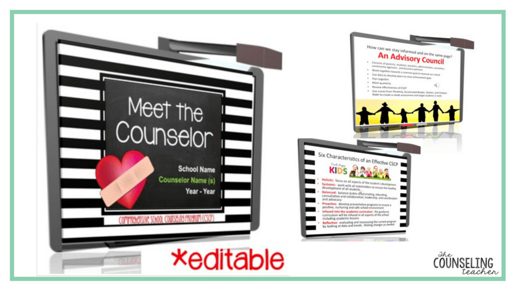 school counselor's role