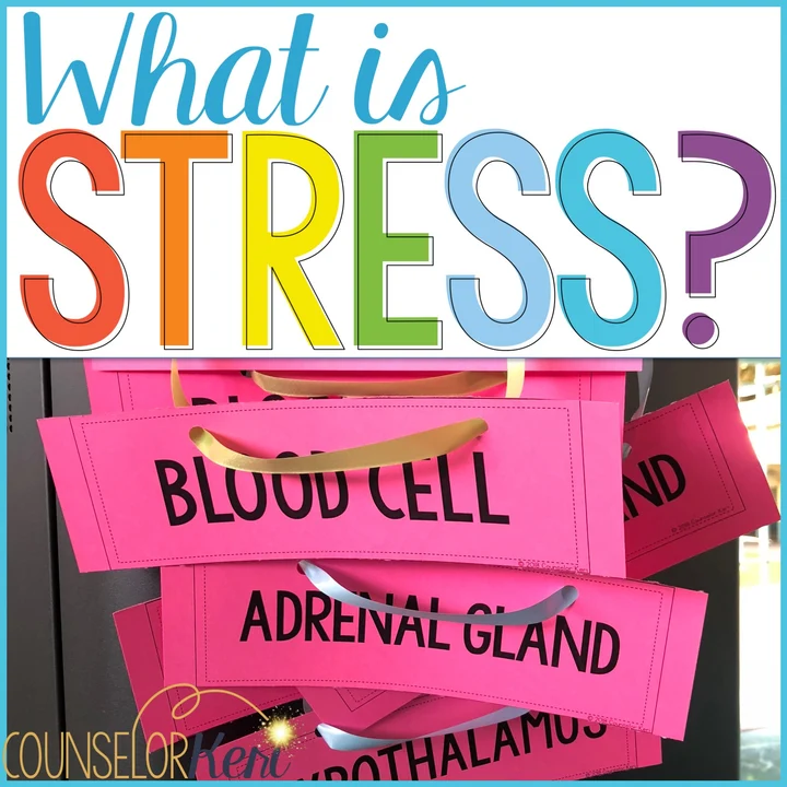What is Stress lesson